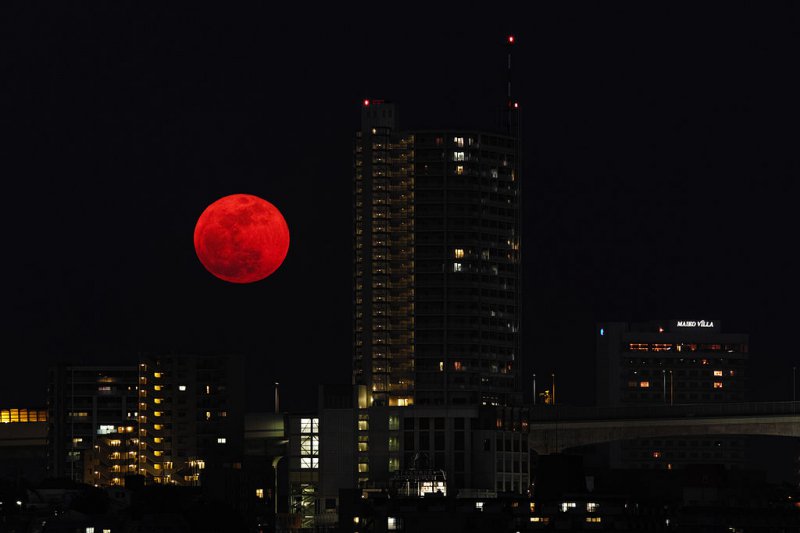 Ночь красной луны